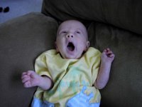 chair yawn